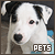 pets fan